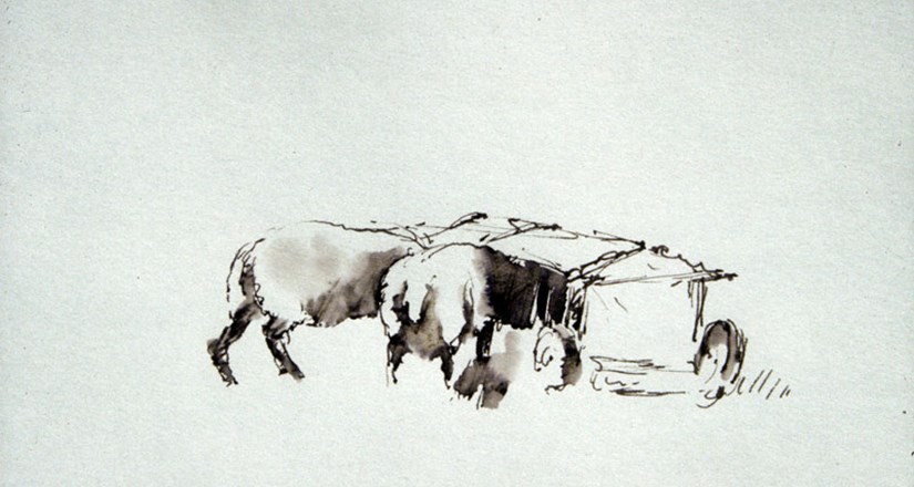 Pen and Wash For Beginners with Catherine Headley