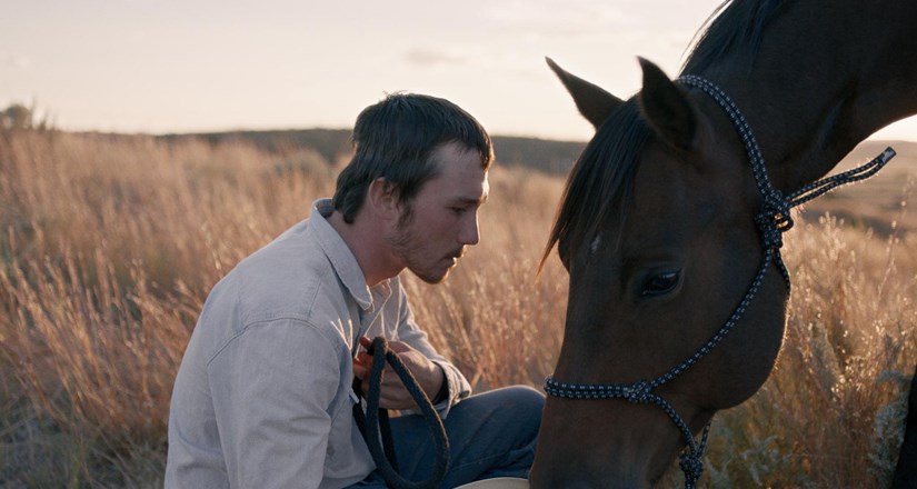 The Rider