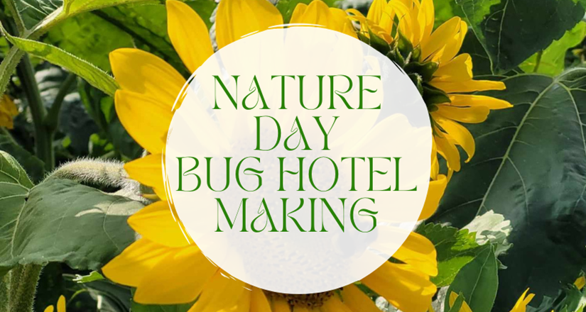 Nature Day - Bug Hotel Making