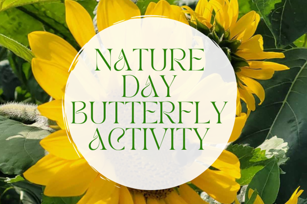 Nature Day - Butterfly Activity