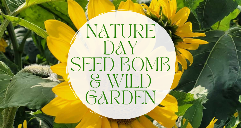 Nature Day - Seed Bomb & Wild Garden